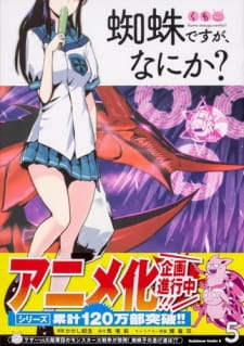 Kumo Desu ga, Nani ka?
