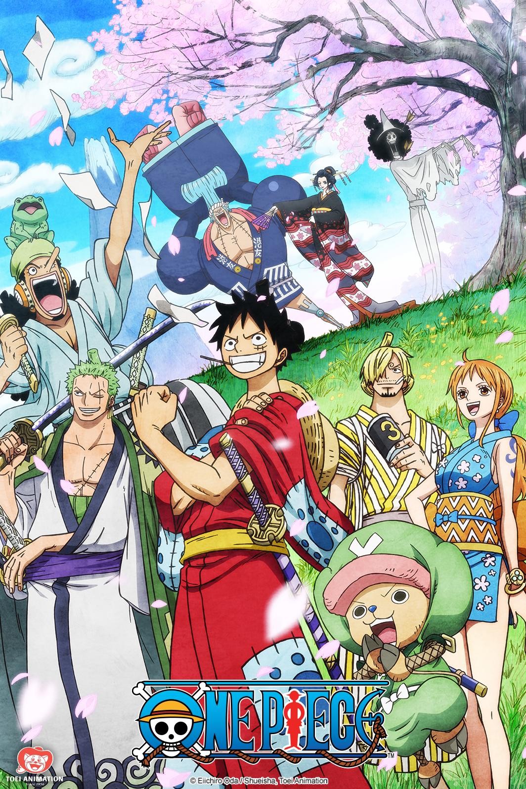 Regras de one piece war