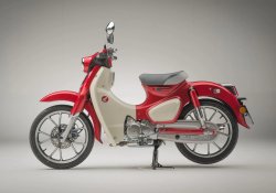 Super cub