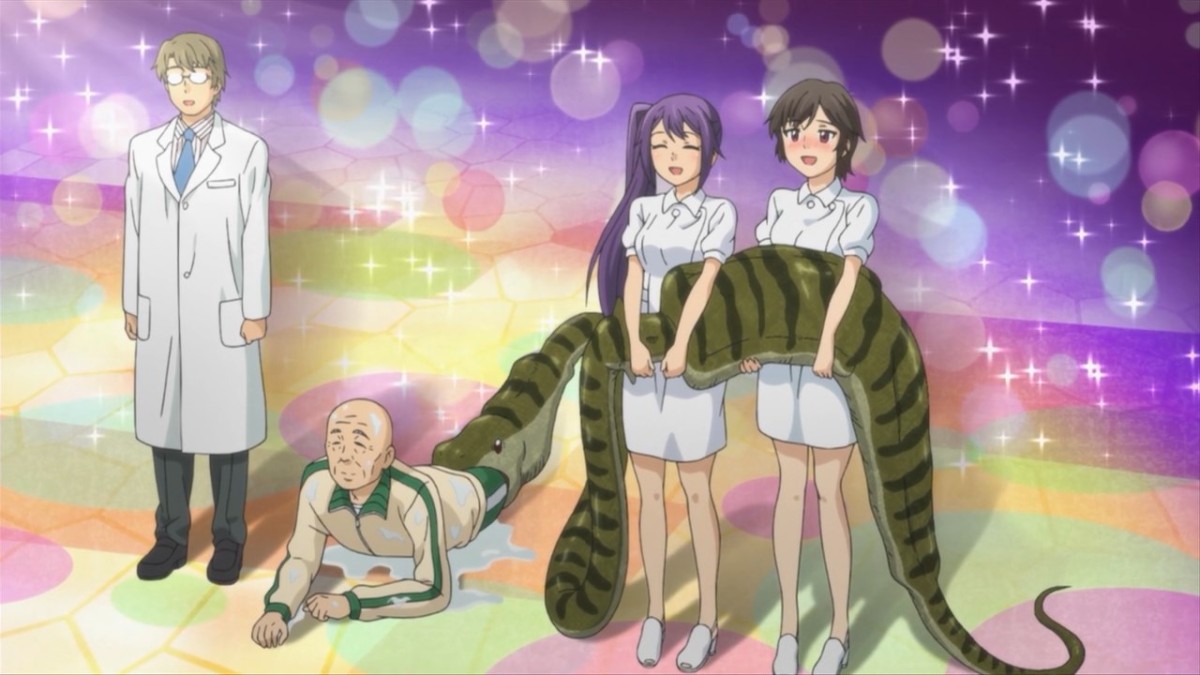 Anime de Wakaru Shinryounaika