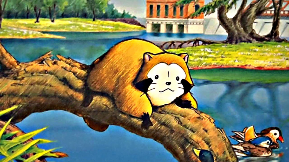 Araiguma Rascal