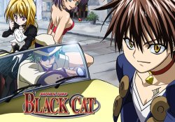 Black cat (tv)