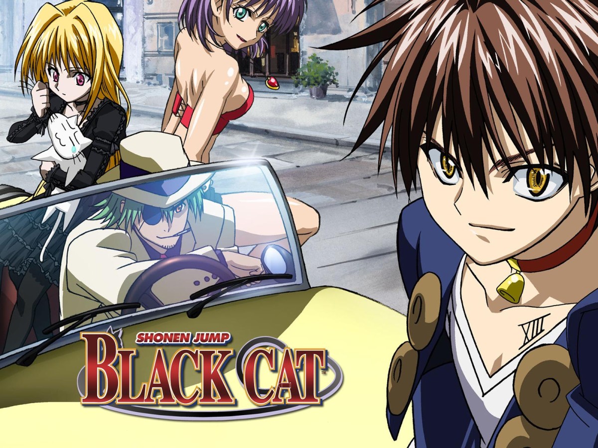 Black Cat (TV)