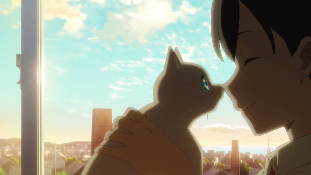 Nakitai Watashi wa Neko wo Kaburu