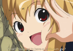 Plastic neesan